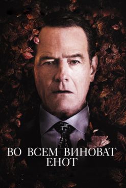 Во всем виноват енот (2016)